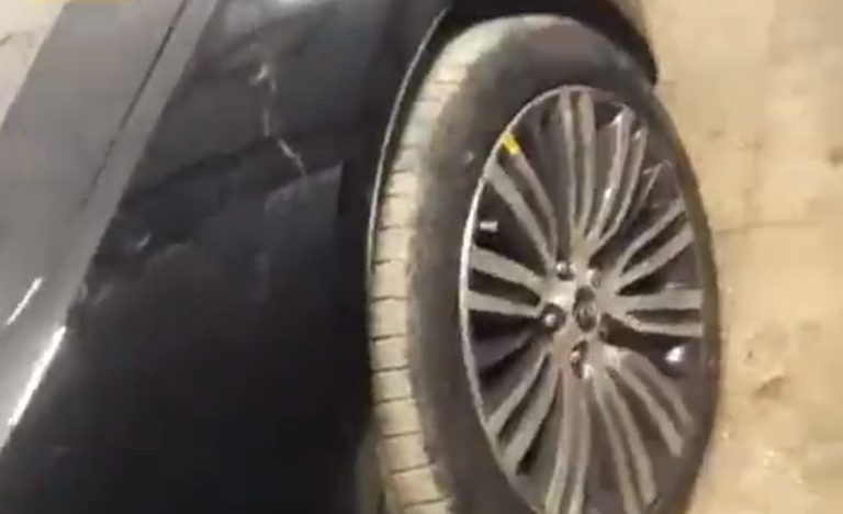 پی دی آر کادنزا